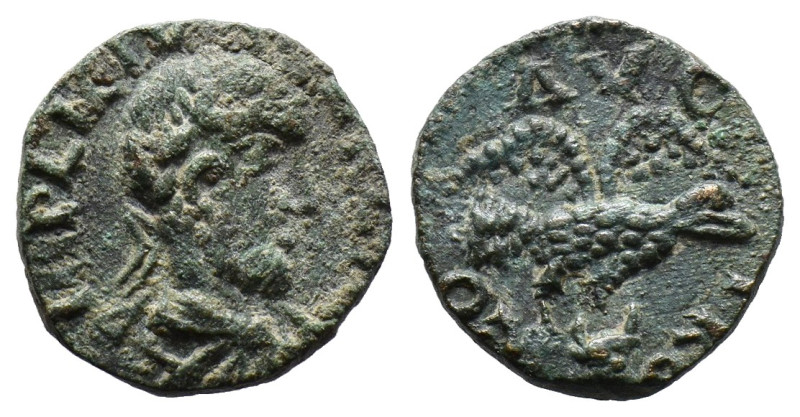 (Bronze, 4.37g 18mm)TROAS, Alexandria