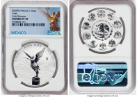 Estados Unidos silver Reverse Proof Onza 2020-Mo PR70 NGC, Mexico City mint, KM639. Early Releases. An exceptional coin, this example is flawless and ...