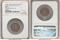 William, the Lion (1165-1214) Penny ND (1205-1230) AU53 NGC, S-5031. 1.44gm. Phase B, short cross type. Late and/or posthumous issue. Head left, scept...