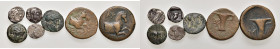 Lotto di sette monete greche di piccolo e piccolissimo modulo, da classificare
MB-BB