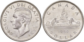 CANADA Giorgio VI (1936-1952) Dollaro 1950 - KM 46 AG (g 23,35)
SPL+