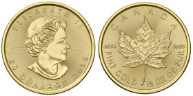 CANADA Elisabetta II (1952-) 20 Dollars 2019 Maple Leaf - AU (g 15,63)
FDC
