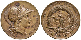 ROMA Medaglia 1890 Tiro a segno nazionale - Opus: Cappuccio e Pogliaghi - AE (g 67,36 - Ø 51 mm) Colpo al bordo. Foro per appiccagnolo
SPL