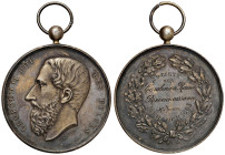 BELGIO Leopoldo II (1865-1909) Medaglia 1883 - AG (?) (g 37,17 - Ø 51 mm) Colpi al bordo
qFDC