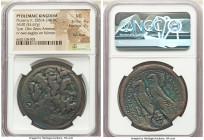 PTOLEMAIC EGYPT. Ptolemy II Philadelphus (285-246 BC). AE drachm (40mm, 55.67 gm, 11h). NGC VG 4/5 - 2/5, flan flaw. Tyre. Horned head of Zeus-Ammon r...