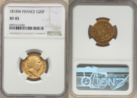 Louis XVIII gold 20 Francs 1818-W XF45 NGC, Lille mint, KM712.9, Fr-539. 

HID09801242017

© 2022 Heritage Auctions | All Rights Reserved