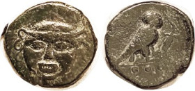 KAMARINA, Æ18 (Tetras), 420-405 BC, Facing Gorgon head/Owl stg r hldg lizard, 3 pellets; AVF/F, centered on unusually large flan, generally smooth dar...