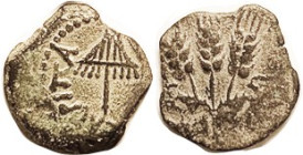 Agrippa I, 37-44 AD, Prutah, H-1244, Umbrella/3 barley ears, VF, off-ctr on irregular flan, olive-green patina with paler hilighting, full detail on u...