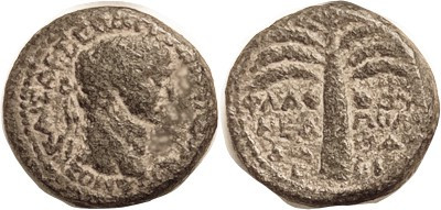 Domitian, Samaria, Neapolis, Æ20, bust r/Date palm; F, nrly centered, greenish-b...