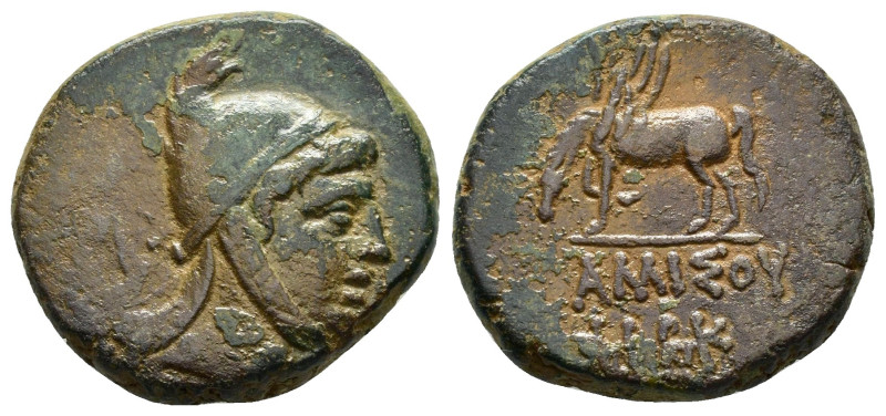 PONTOS.Amisos.Time of Mithradates VI Eupator.(85-65 BC).Ae.

Obv : Head of Perse...