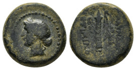 LYDIA. Blaundus.(2nd-1st centuries BC). Ae. 

Weight : 6.1 gr
Diameter : 16 mm