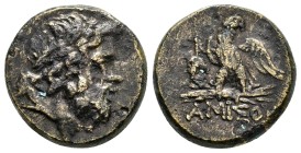 PONTOS.Amisos.Mithradates VI.(Circa 85-65 B)C.Ae.

Obv : Laureate head of Zeus right.

Rev : AMIΣOY.
Eagle standing left on thunderbolt, wings op...