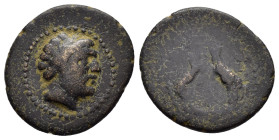 PISIDIA. Sagalassos.(1st century BC). Ae. 

Weight : 3.7 gr
Diameter : 18 mm