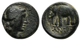 SELEUKID KINGS OF SYRIA. Antiochos III ‘the Great’ (222-187 BC). Ae.

Weight : 2.8 gr
Diameter : 13 mm