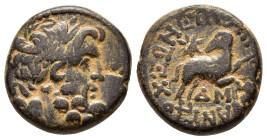 SYRIA. Seleucis and Pieria. Antioch. Pseudo-autonomous. Augustus (27 BC- 14).Ae.

Weight : 7.7 gr
Diameter : 18 mm