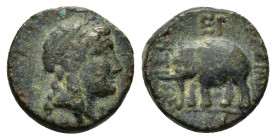 SELEUKID KINGDOM. Antiochos III.(222-187 BC). Ae. 

Weight : 1.5 gr
Diameter : 12 mm