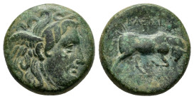 SELEUKID KINGS OF SYRIA. Seleukos I (312-281 BC).Antioch.Ae.

Weight : 6.03 gr
Diameter : 18 mm