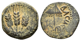 JUDAEA. Agrippa I.(52-59).Jerusalem.Ae.

Obv : BACIΛEWC AΓPIΠA .
Umbrella-like canopy with fringes.

Rev : Three ears of barley growing between two le...