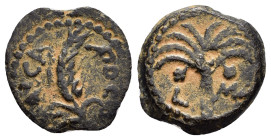 JUDAEA.Procurators. Marcus Ambibulus.(9-12 CE). Ae.

Obv : ΚΑΙϹΑΡΟϹ.
Ear of barley.

Rev : L MA.
palm tree.
RPC I online 4957.

Condition :

Weight : ...