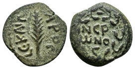 JUDAEA. Procurators. Porcius Festus.(59-62). In the name of of Nero.(58/9).Jerusalem.Ae.

Weight : 2.4 gr
Diameter : 17 mm