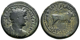 JUDAEA. Caesarea Maritima. Hadrian.(117-138). Ae.

Obv : IMP TRA HADRIANO CAES AVG.
Laureate, draped and cuirassed bust right.

Rev : COL I FL AVG CAE...