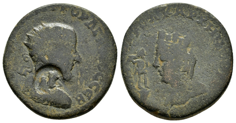 MESOPOTAMIA. Carrhae. Gordian III (238-244). Ae.

Weight : 15.7 gr
Diameter : 27...