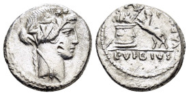 C. VIBIUS VARUS. (42 BC). Rome.Denarius.

Obv : Head of Bacchus right, wearing wreath of ivy and grapes.

Rev : C VIBIVS VARVS.
Panther springing left...