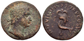 DOMITIAN (Caesar, 69-81). Sestertius. Rome. 

Weight : 19.03 gr
Diameter : 32 mm