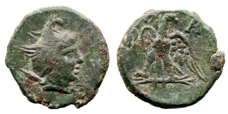 MONEDAS ANTIGUAS. REINO MACEDONIO. Filipo V. AE-19. (221-179 a.C.) A/Cabeza con ...