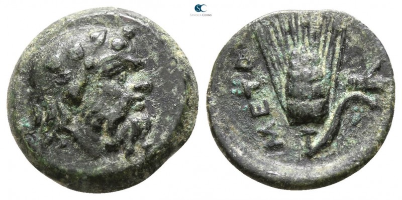 Lucania. Metapontion 300-250 BC. 
Bronze Æ

 12mm., 1,22g.



good very f...