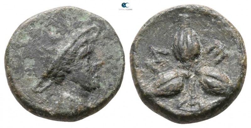 Lucania. Metapontion 275-250 BC. 
Bronze Æ

 11mm., 2,04g.



very fine