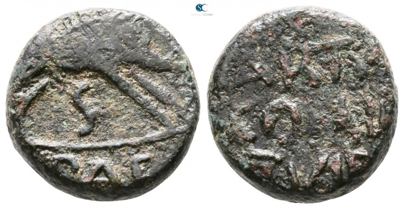 Lucania. Paestum 100-0 BC. 
Semis Æ

 14mm., 4,14g.



very fine