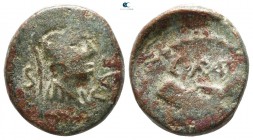 Lucania. Paestum 90-44 BC. Semis Æ