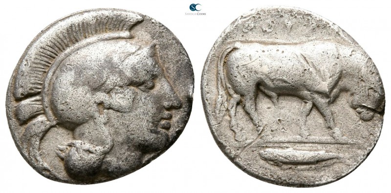 Lucania. Thourioi circa 425-400 BC. 
1/3 Stater AR

 15mm., 2,42g.



ver...