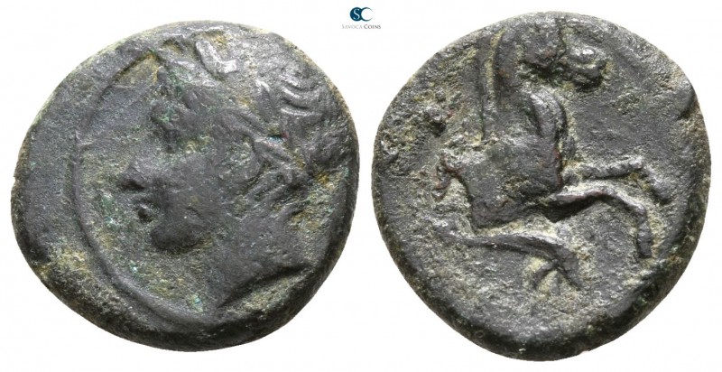 Sicily. Panormos as Ziz 336-330 BC. 
Bronze Æ

 13mm., 2g.



very fine