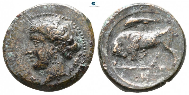 Sicily. Syracuse. Agathokles 317-289 BC. 
Bronze Æ

 17mm., 3,71g.



ver...