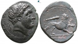 Sicily. syracuse. Agathokles 317-289 BC. Bronze Æ
