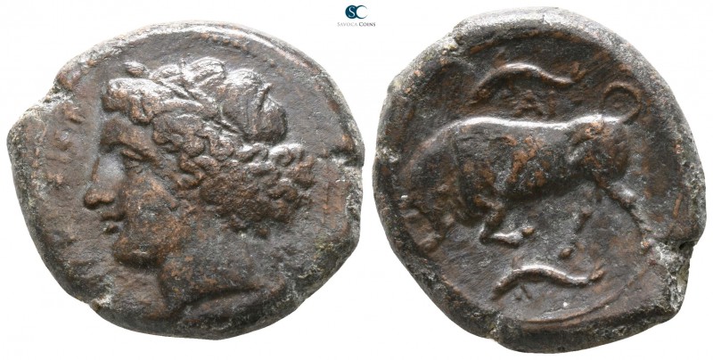 Sicily. Syracuse. Agathokles 317-289 BC. 
Bronze Æ

 23mm., 10,03g.



ve...