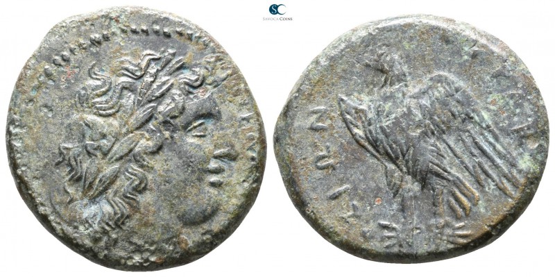 Sicily. Syracuse. Hiketas II 287-278 BC. 
Bronze Æ

 22mm., 7,23g.



goo...