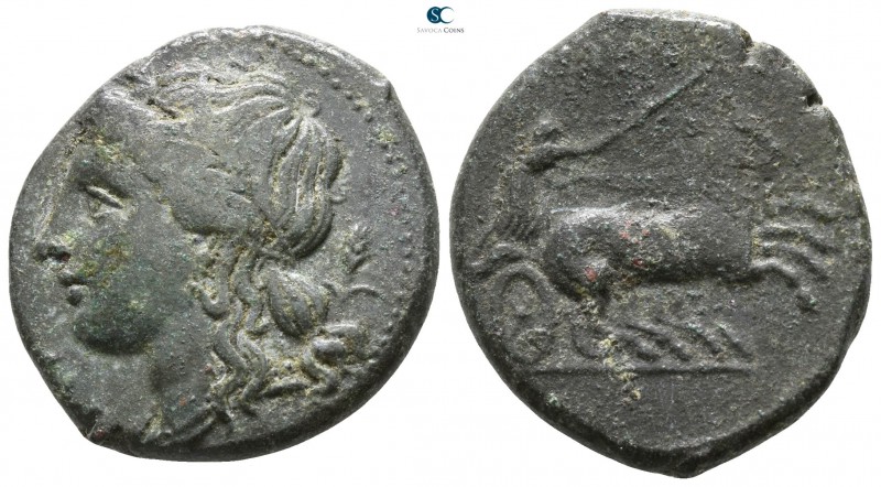 Sicily. Syracuse. Hiketas II 287-278 BC. 
Bronze Æ

 22mm., 8,48g.



ver...