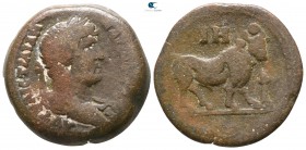 Rome. Rome. Hadrian AD 117-138. Bronze Æ