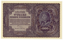 II RP, 1000 marek polskich 1919 I SERJA DM