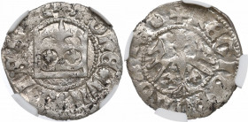 Vladislaus II, halfgroat - NGC MS62