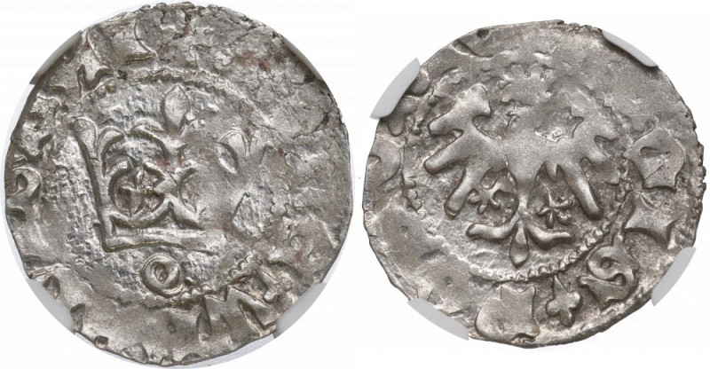 Vladislaus II, halfgroat - NGC MS62 Menniczy przedstawiciel półgroszy koronnych ...