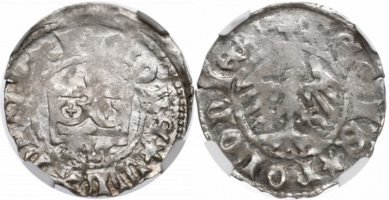 Vladislaus II, halfgroat - NGC MS63 Menniczy przedstawiciel półgroszy koronnych ...