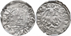 Vladislaus II Jagello, Halfgroat without date, Cracow - NGC MS62 R