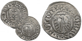 Casimir IV Jagellon, Schilling without date, Elbing R5