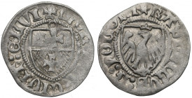 Casimir IV Jagellon, Schilling without date, Elbing R3