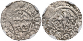 Jan Olbracht, Półgrosz bez daty Kraków - NGC MS64 / OKAZOWY MAX
