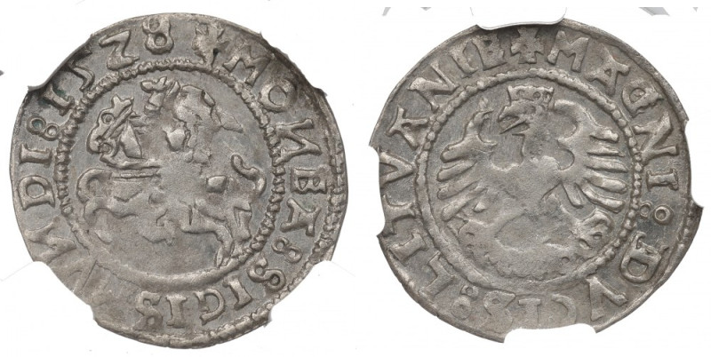 Sigismund I the Old, Halfgroat 1528, Vilnius - NGC MS62 Rzadki, przedostatni roc...